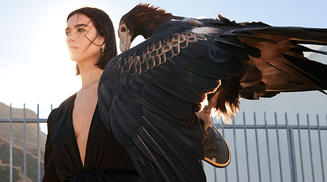 Dua Lipa mit Greifvogel